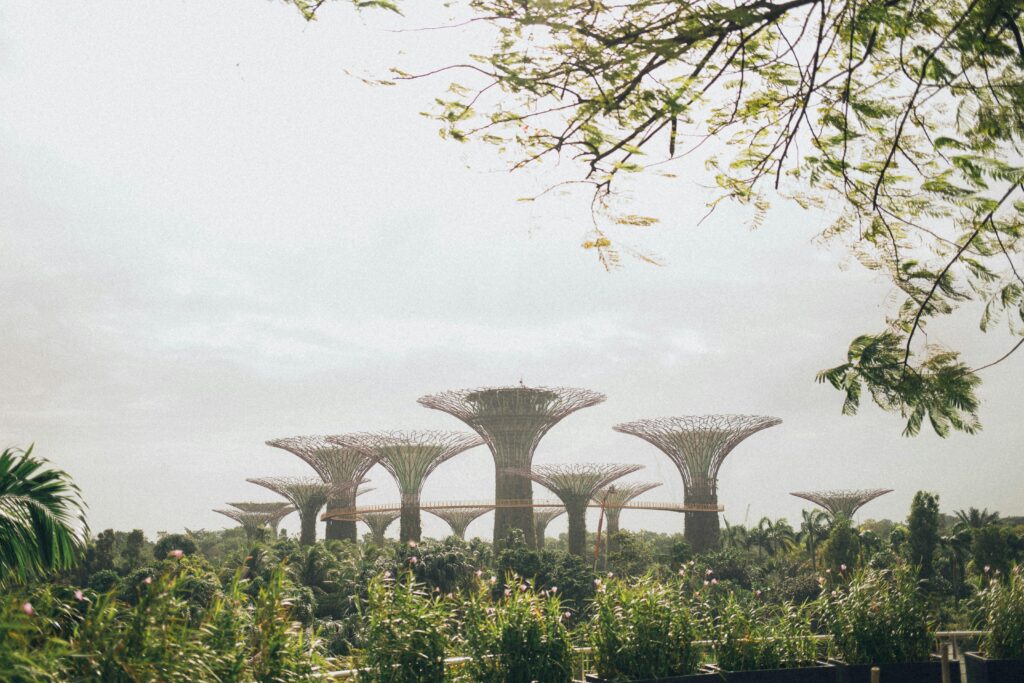 Explore the majestic Supertree Grove at Gardens by the Bay, a must-visit in Singapore.